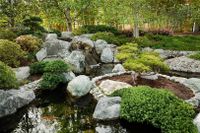 Koi- Teich mit Natursteinen und Randbepflanzung