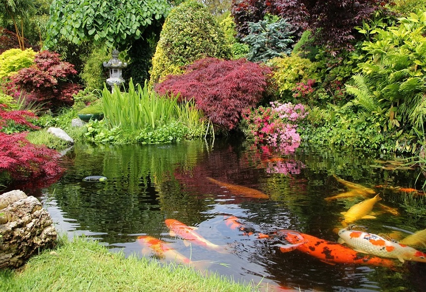 Schneider Pool & Garten GmbH