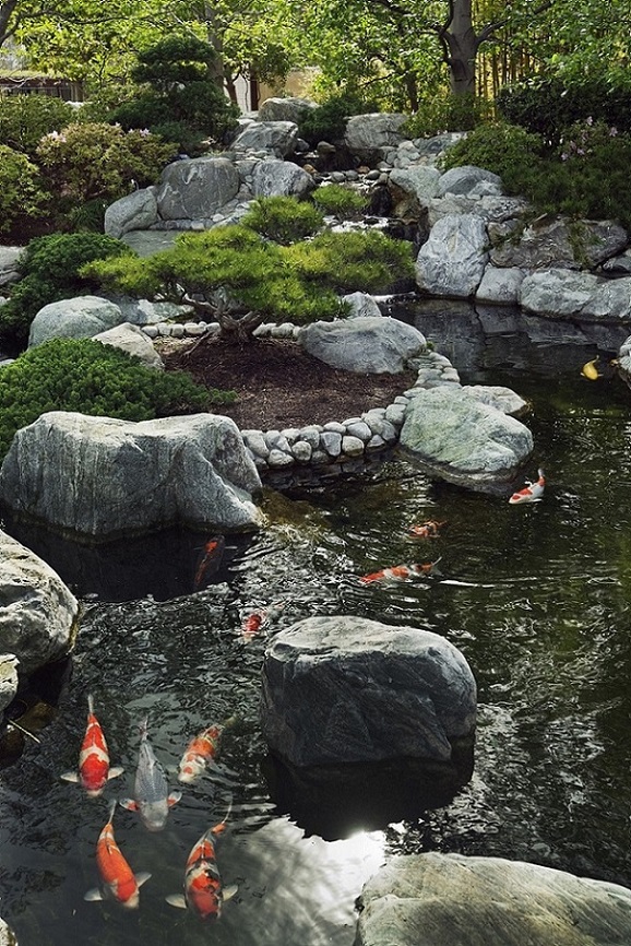Schneider Pool & Garten GmbH